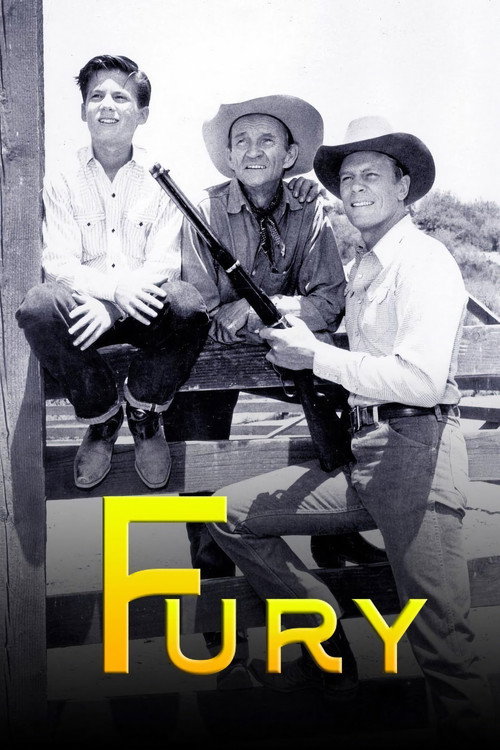 Fury poster