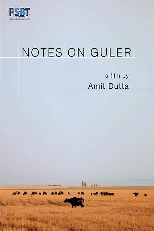 Notes on Guler poster