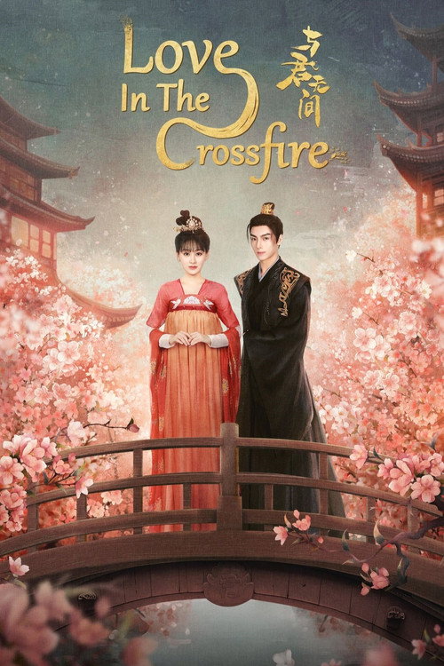 Love in the Crossfire poster