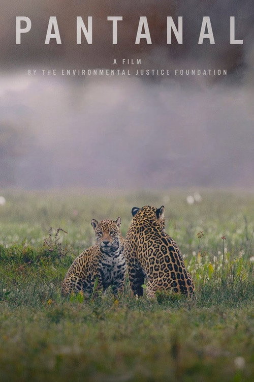 Pantanal poster