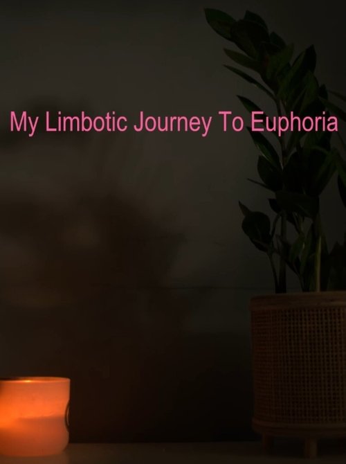 My Limbotic Journey To Euphoria poster