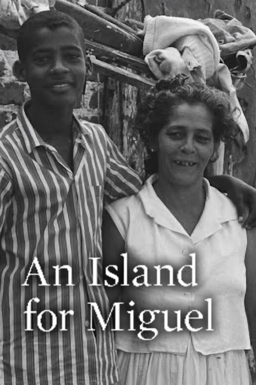 An Island for Miguel poster