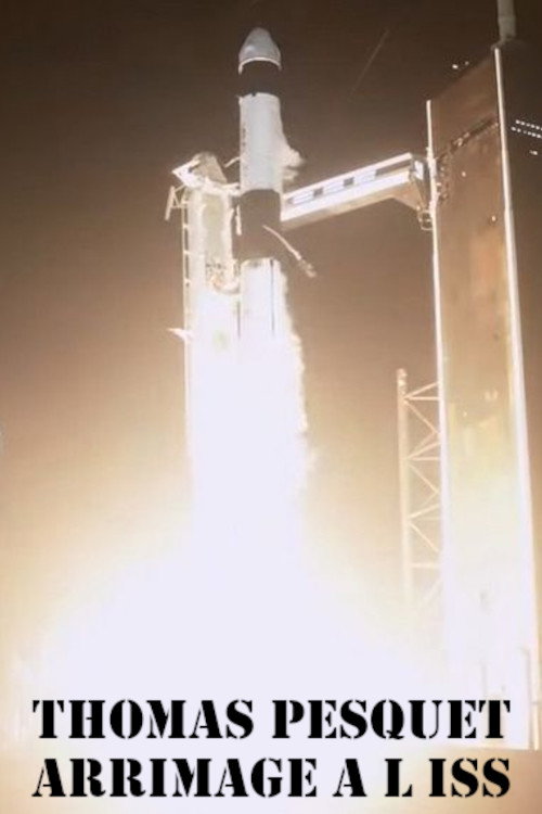 Thomas Pesquet, arrimage à l'ISS poster