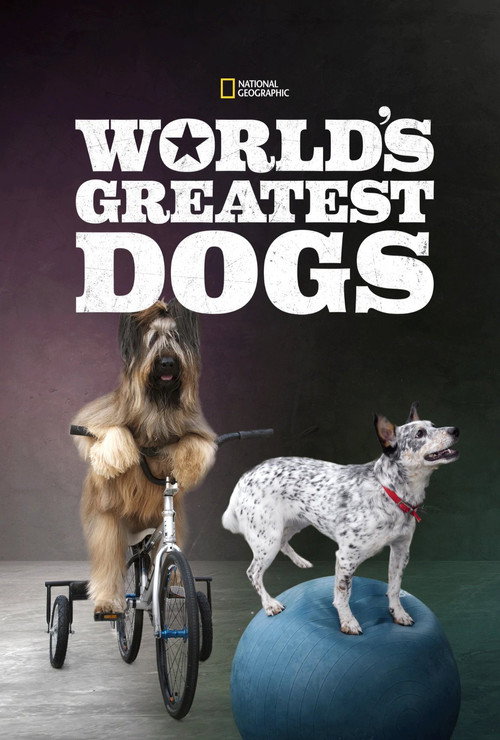 World's Greatest Dogs poster