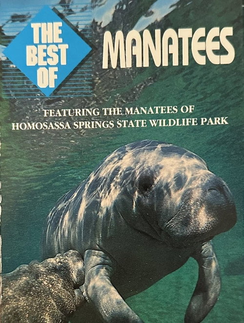 Manatees poster