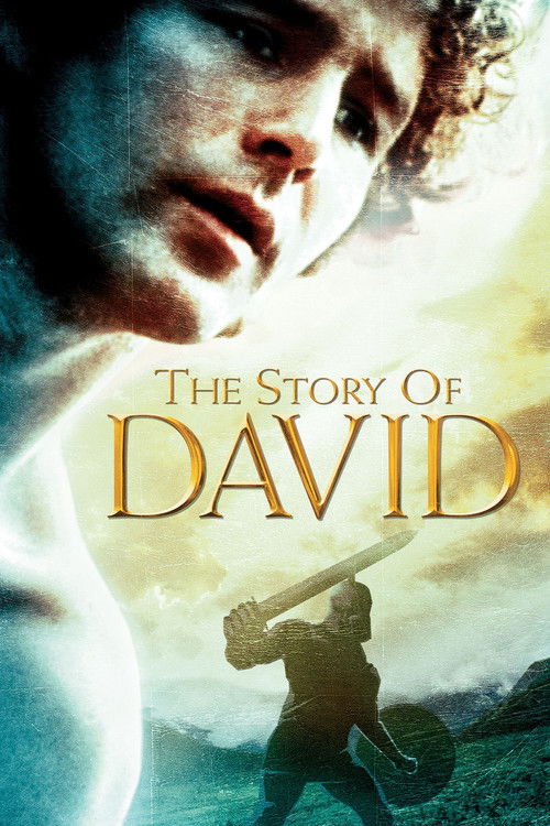 The Story of David poster