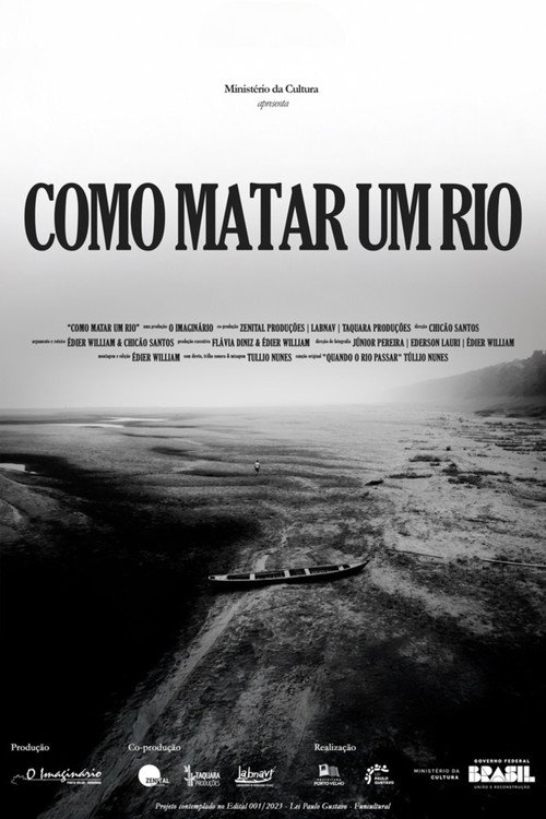 Como Matar um Rio poster