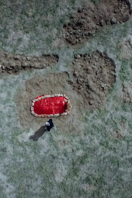 The grave under the plum tree poster