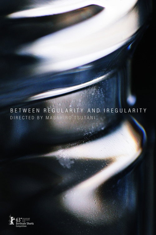 Between Regularity and Irregularity poster