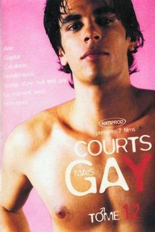 Courts mais Gay : Tome 12 poster
