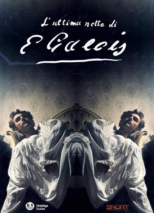 The Last Night of Galois poster