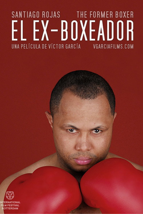 The Former Boxer poster