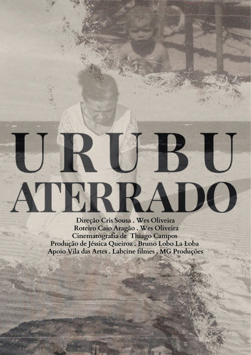 Urubu Aterrrado poster