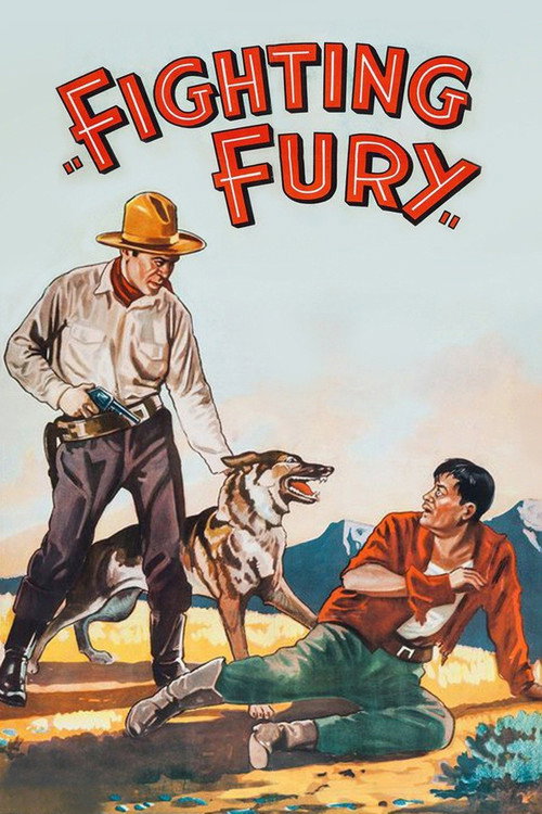 Fighting Fury poster