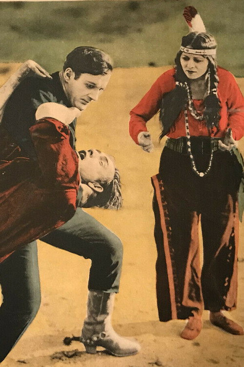 Riders of the Plains poster