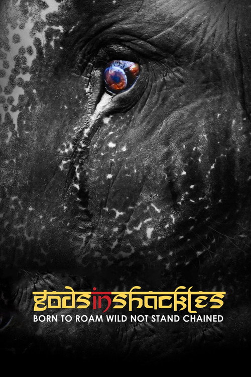 Gods in Shackles poster