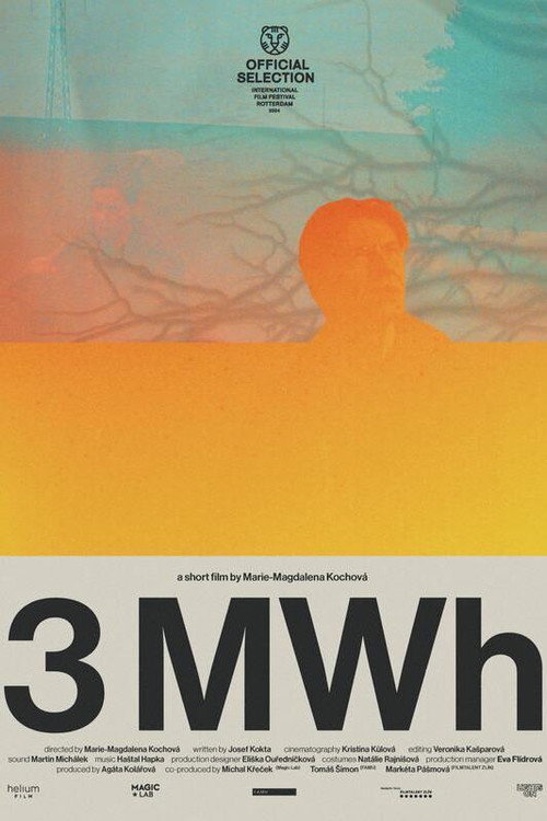 3 MWh poster