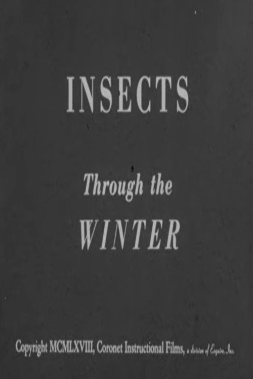Insects Through the Winter poster