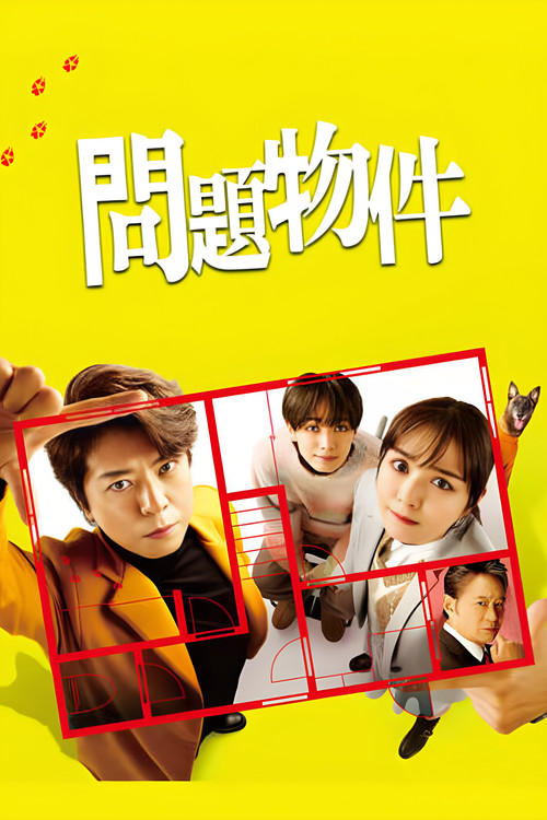 Problem Property poster