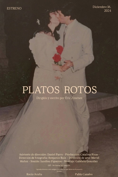 Platos Rotos poster