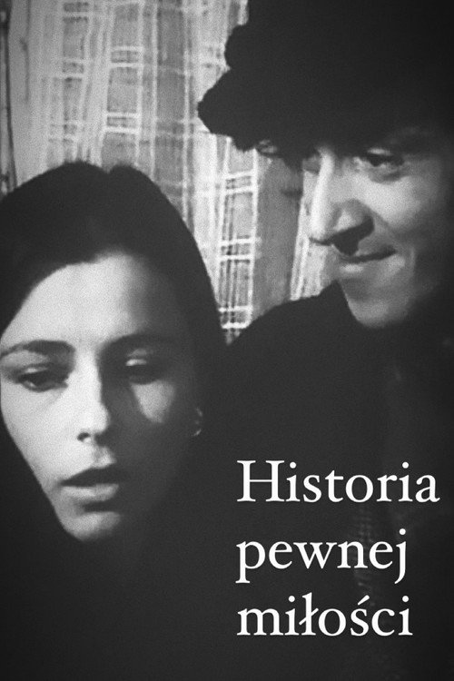 Random Love Story poster