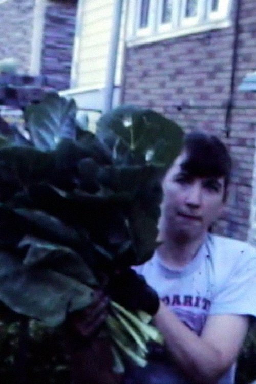 Collards Garden, 1985 poster