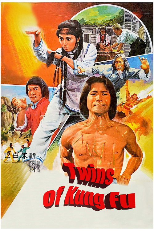 Twins of Kung Fu poster