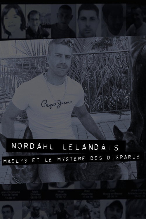 Dans la tête de Nordahl Lelandais poster