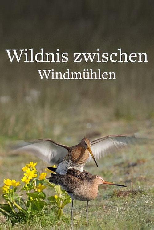 Wildlife in Windmill Country poster