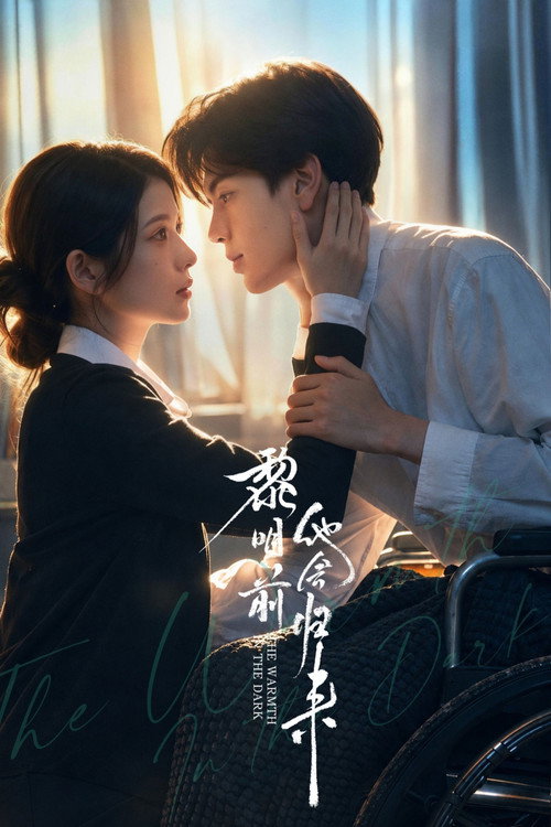 The Warmth in the Dark poster