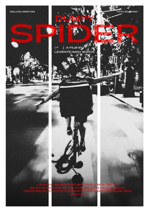 Dumpy Spider poster