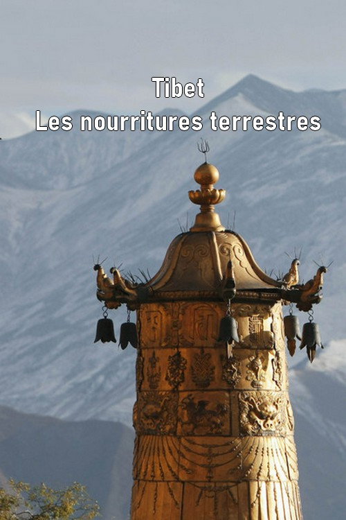 Tibet - Les nourritures terrestres poster