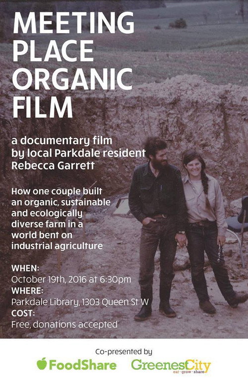 Meeting Place Organic Film poster