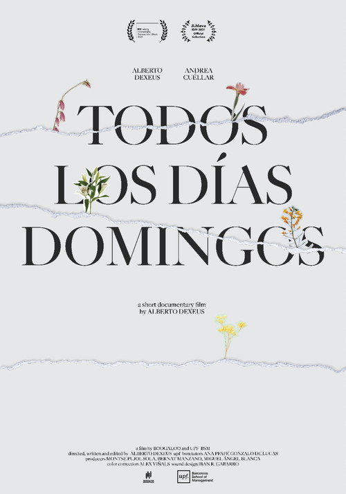 Everyday Is Like Sunday poster
