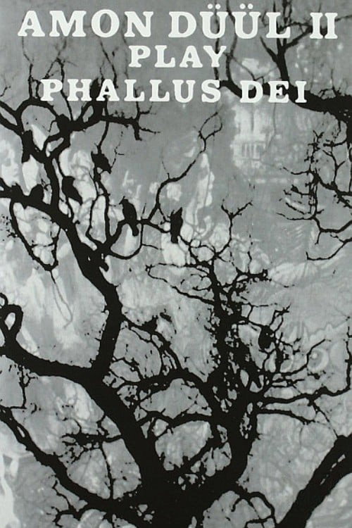 Amon Duul II: Plays Phallus Dei poster