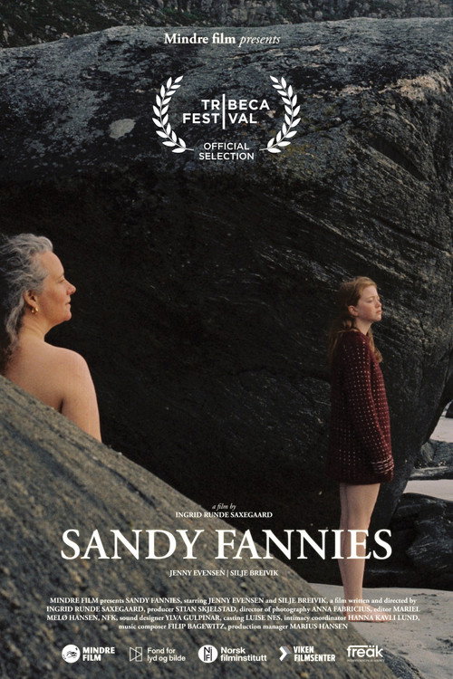 Sandy Fannies poster