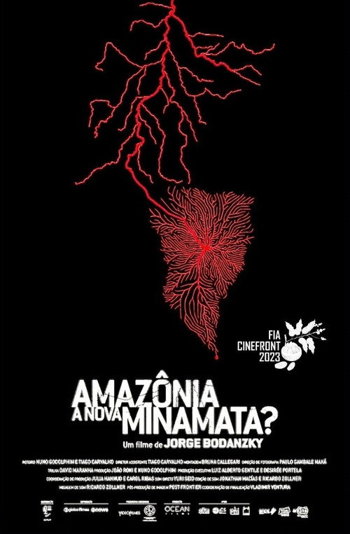 Amazônia, a Nova Minamata? poster