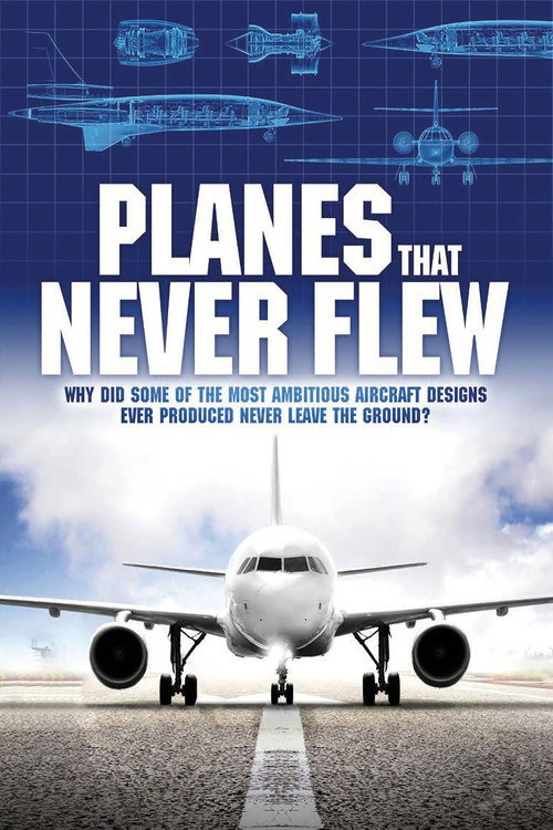 Planes That Never Flew poster