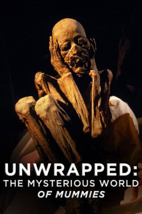 Unwrapped: The Mysterious World of Mummies poster
