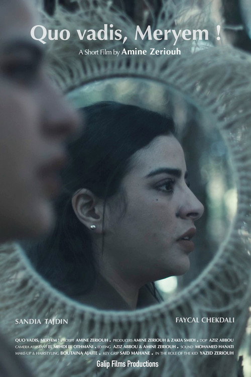 Quo vadis, Meryem! poster