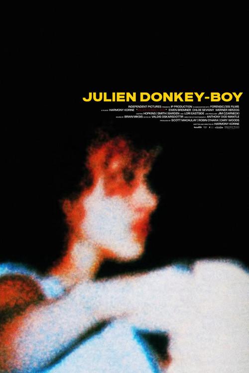 Julien Donkey-Boy poster