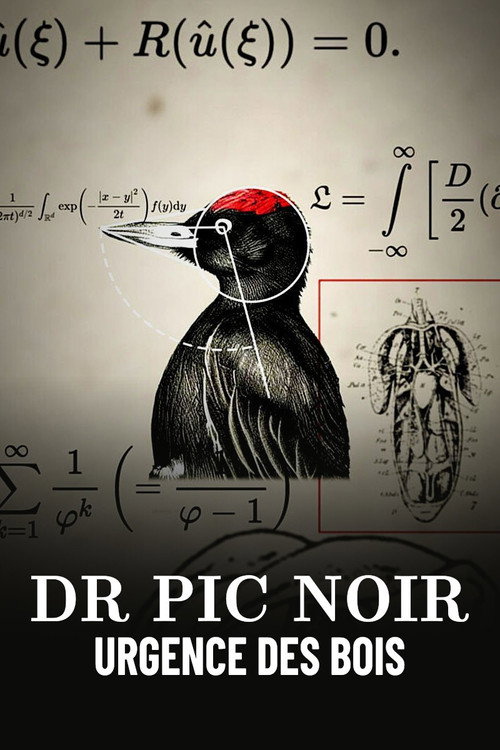 Dr Pic Noir, urgence des bois poster
