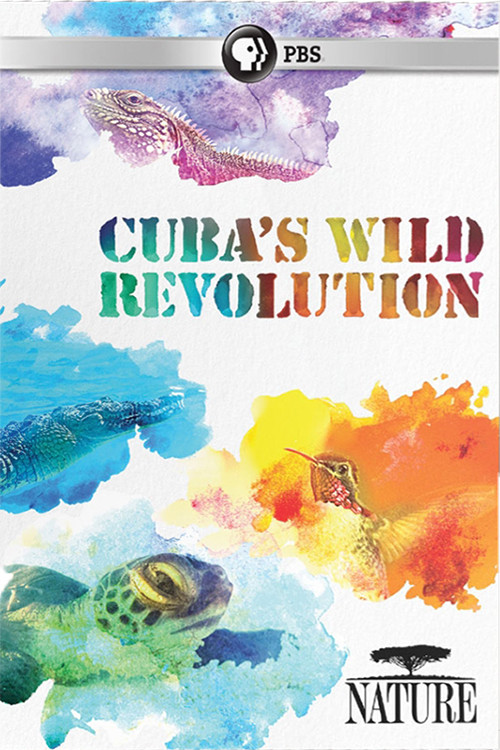 Cuba's Wild Revolution poster