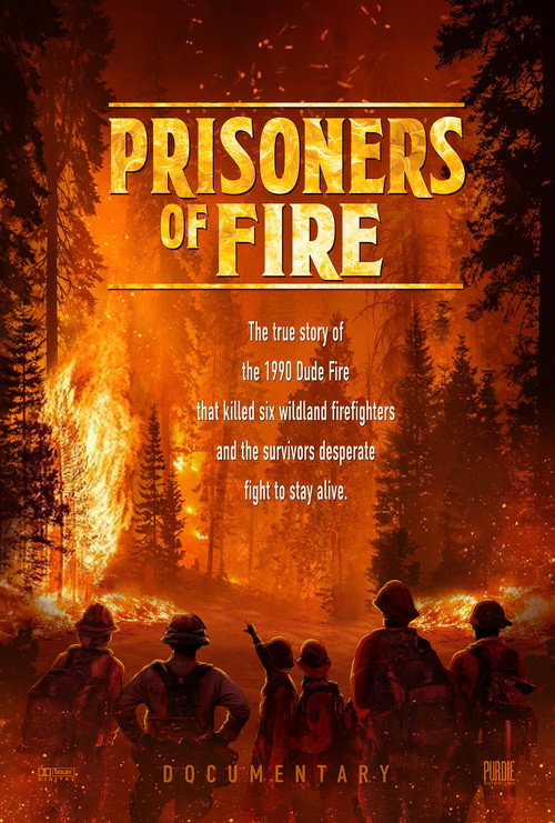 Prisoners of Fire poster