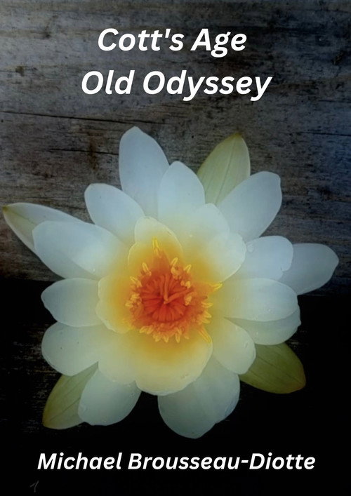 Cott's Age Old Odyssey poster