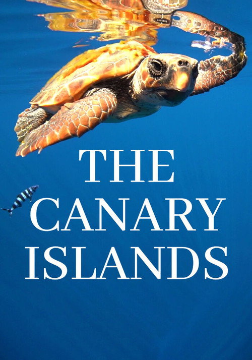 The Canary Islands poster