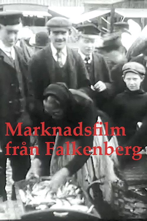 Falkenberg Market poster