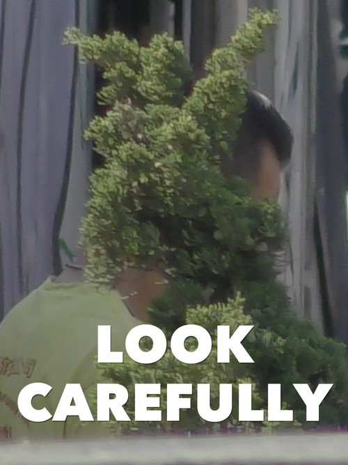 Look Carefully poster
