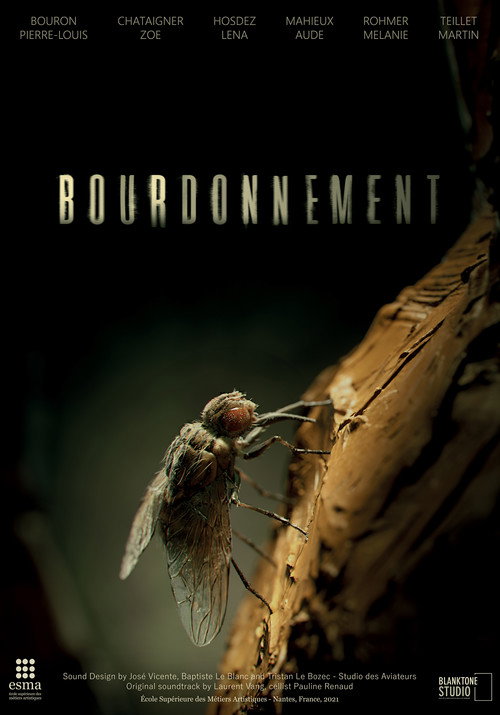 Bourdonnement poster