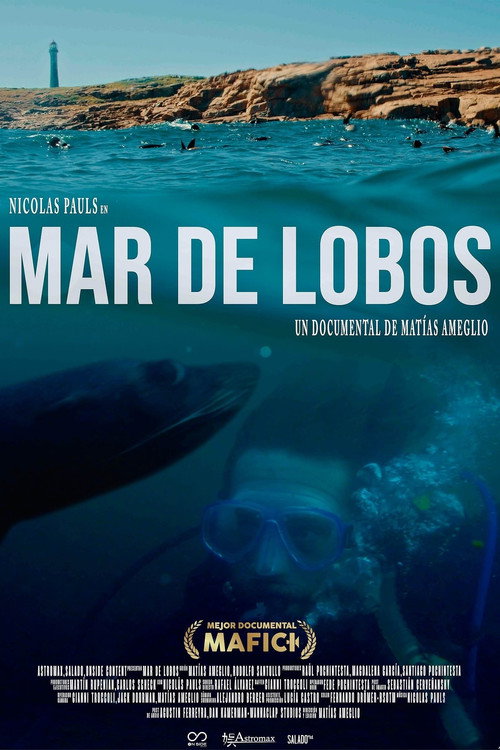Sea of Lions poster